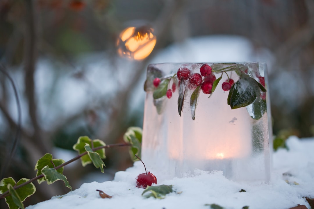 Photo garden lantern