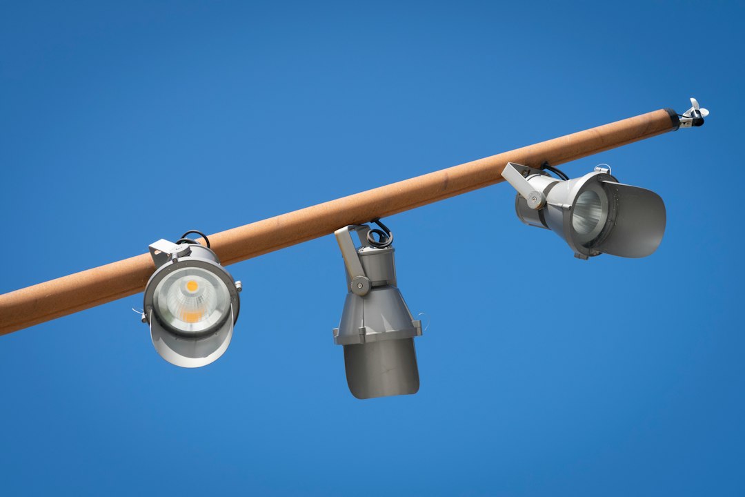 Photo adjustable dome track lighting entryway